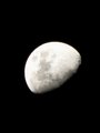 The Man in the Moon