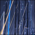BLUE POLES ABSTRACT