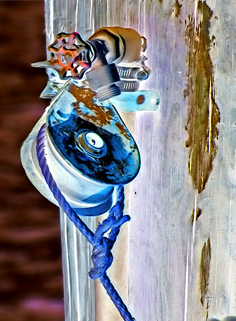 A Sailor's Reel