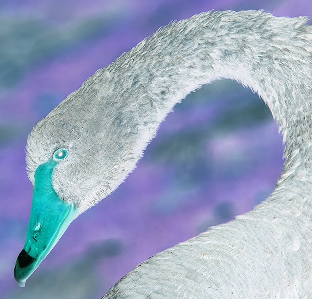 Eye of the beholder