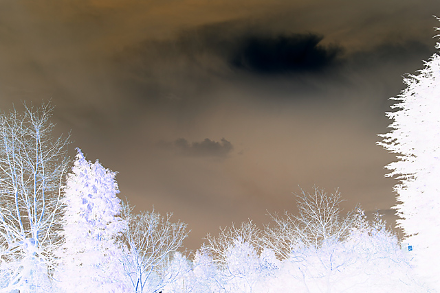 Stormy Skies