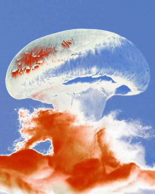 BOOM! - edible mushroom cloud
