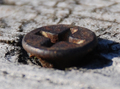 Fencepost Screw