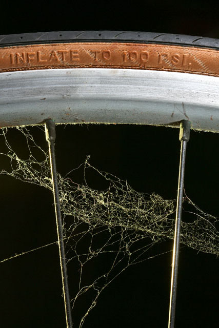 Bicycle Wheel--Waiting to Inflate