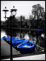 Five Blue Boats Sat Abandoned