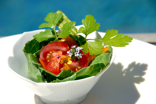 Petite Ensalade avec Fleurs