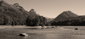 Dart River