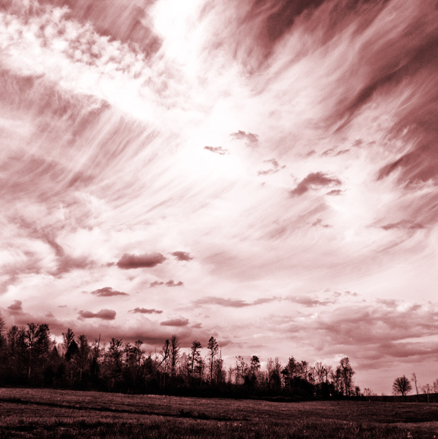 Spring Rising