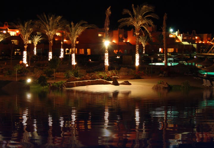 Midnight at the Oasis