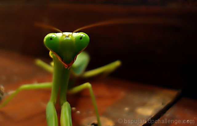 Smile please !