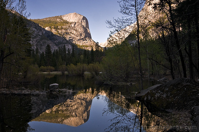 Reflection