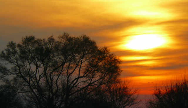 Sun Amidst a Sea of Clouds