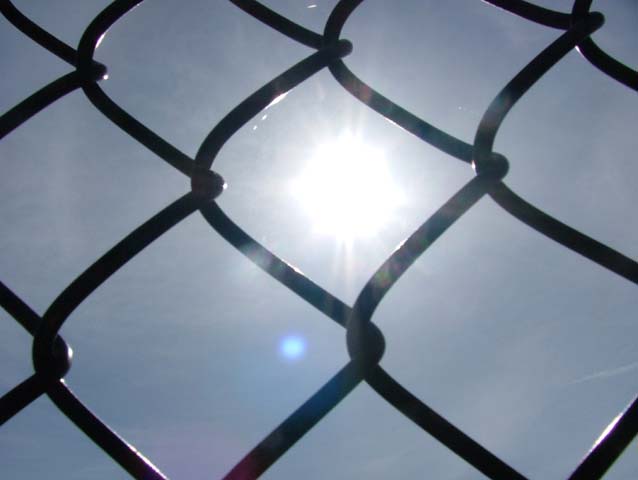 beyond the fence