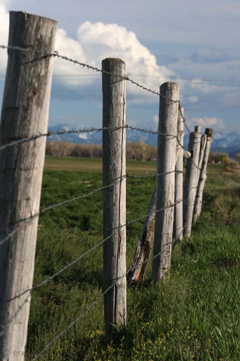 Fence