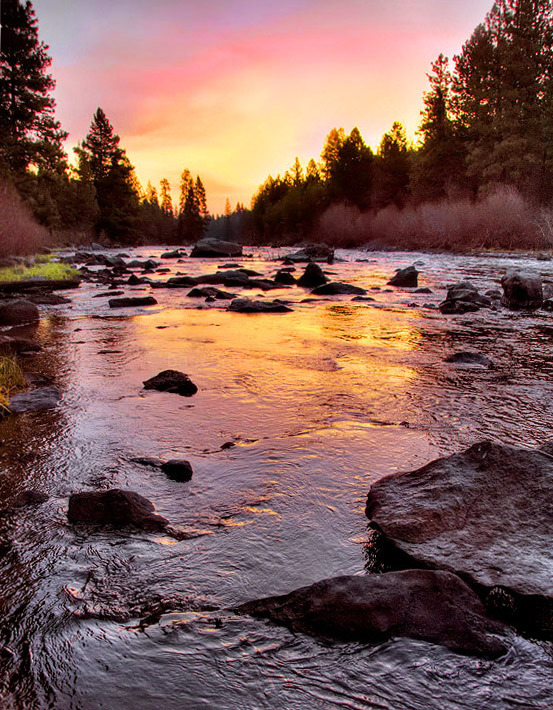 Quiet River Sunrise