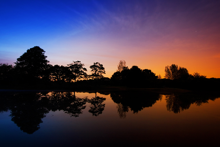 Reflecting Serene Trees
