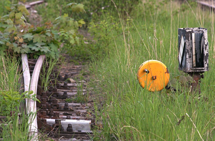 Rusty, Scruffy Tracks