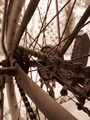 In Bygone Days