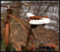A Rusted Memory Of Treasured Days Gone By....