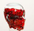 A Translucent View