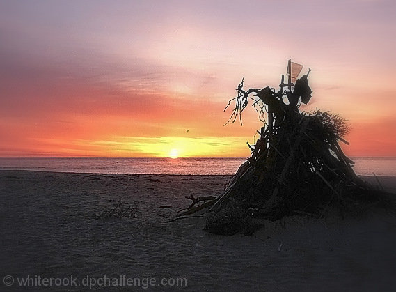 First Light