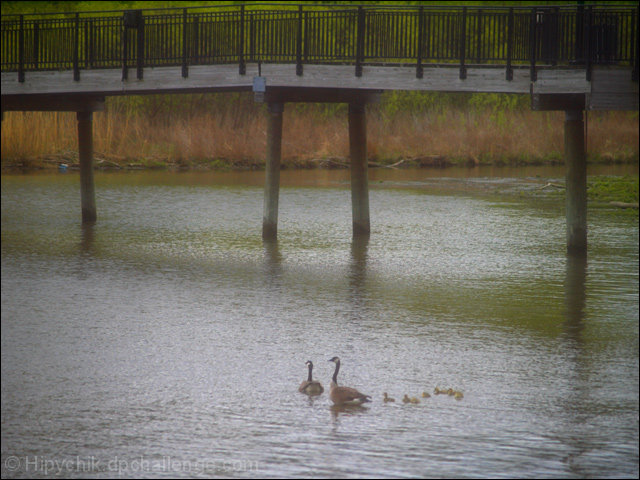 Life Under The Bridge