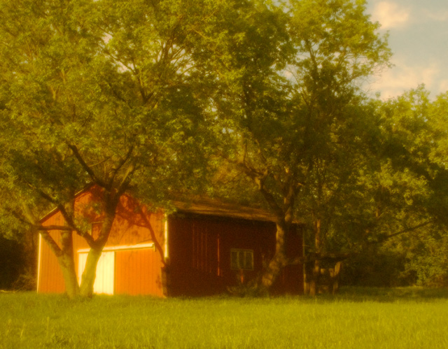 The Red Shed