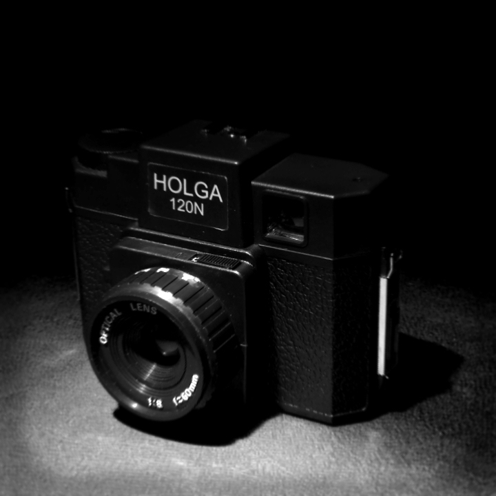 "Holgafied" Holga