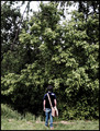 AS-Into the Wild