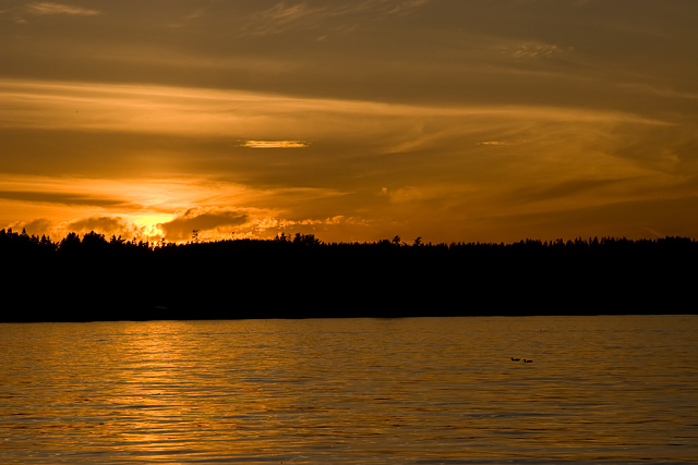 On Golden Pond