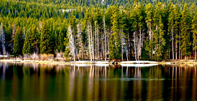 Reflection