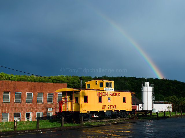 Under the Rainbow