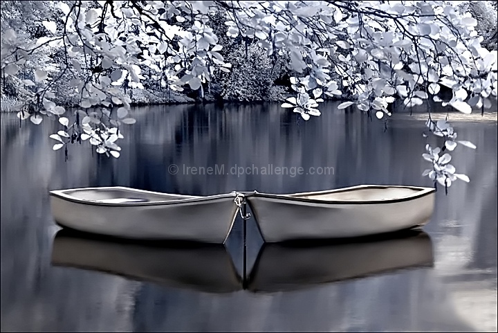 A peaceful place