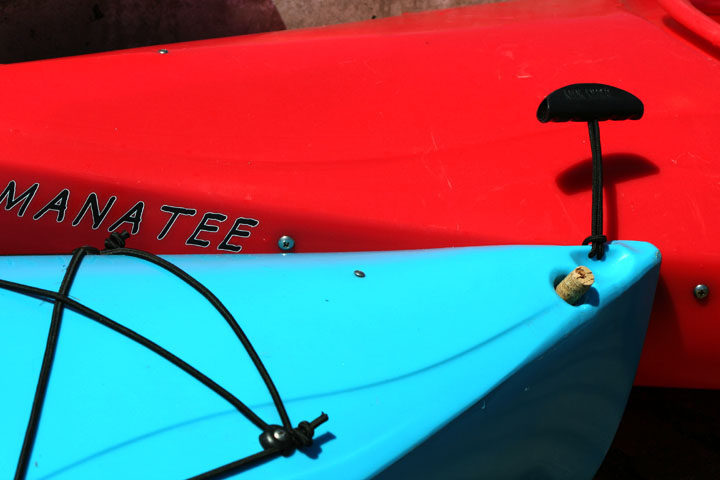 kayaks