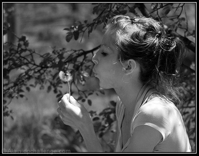 Le Printemps de Val&eacute;rie