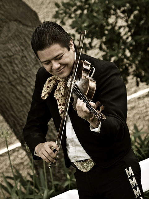 The Mariachi Fiddler