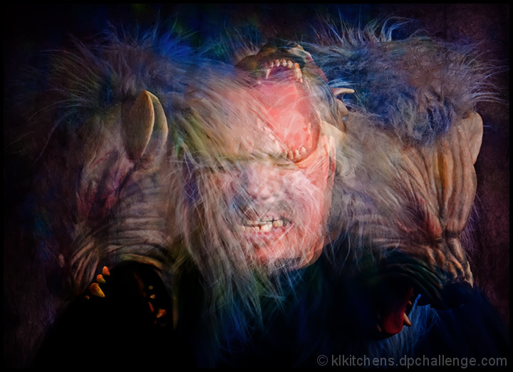 Metamorphosis