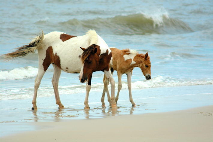 Mother Daughter Bond