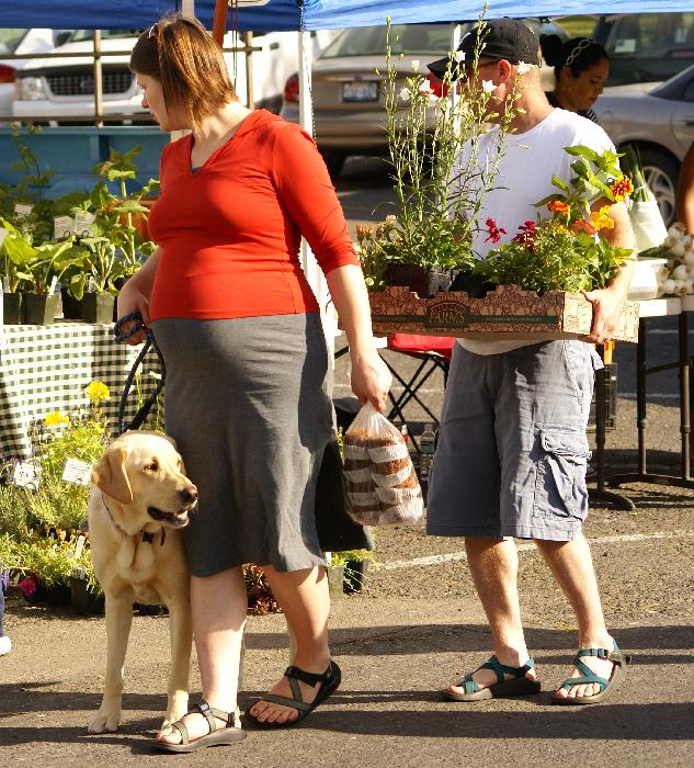 Guiding the gardner