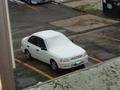 2nd Day of Spring in Chicago