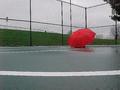 Wet day