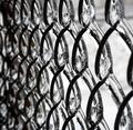 Locked in Ice