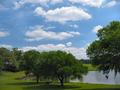 Picnic Weather