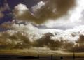 Cumulus Congestus in San Francisco Bay