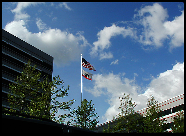 Storm Clouds Gather