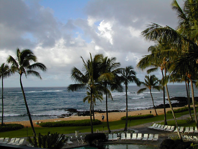 "ALOHA"-PERFECT WEATHER TO RISE TO....