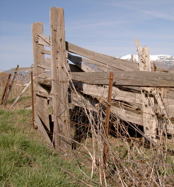 Weathered