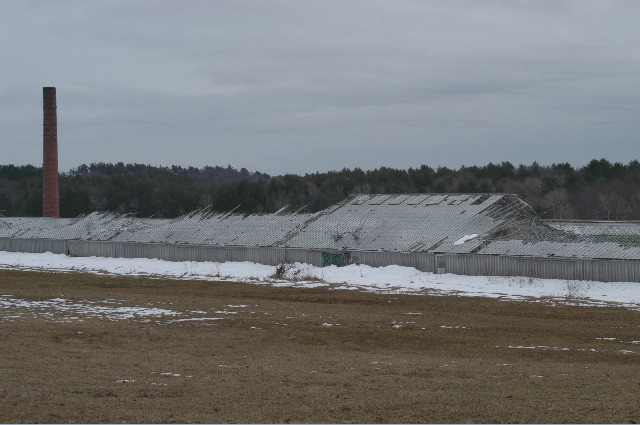 Snow Damage