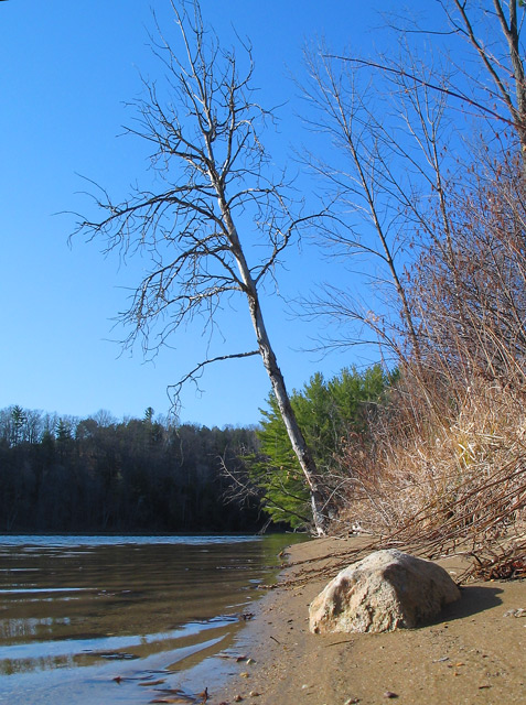 Spring Sunshine