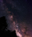 The Creators Masterpiece -- The Milky Way rising over the Pines